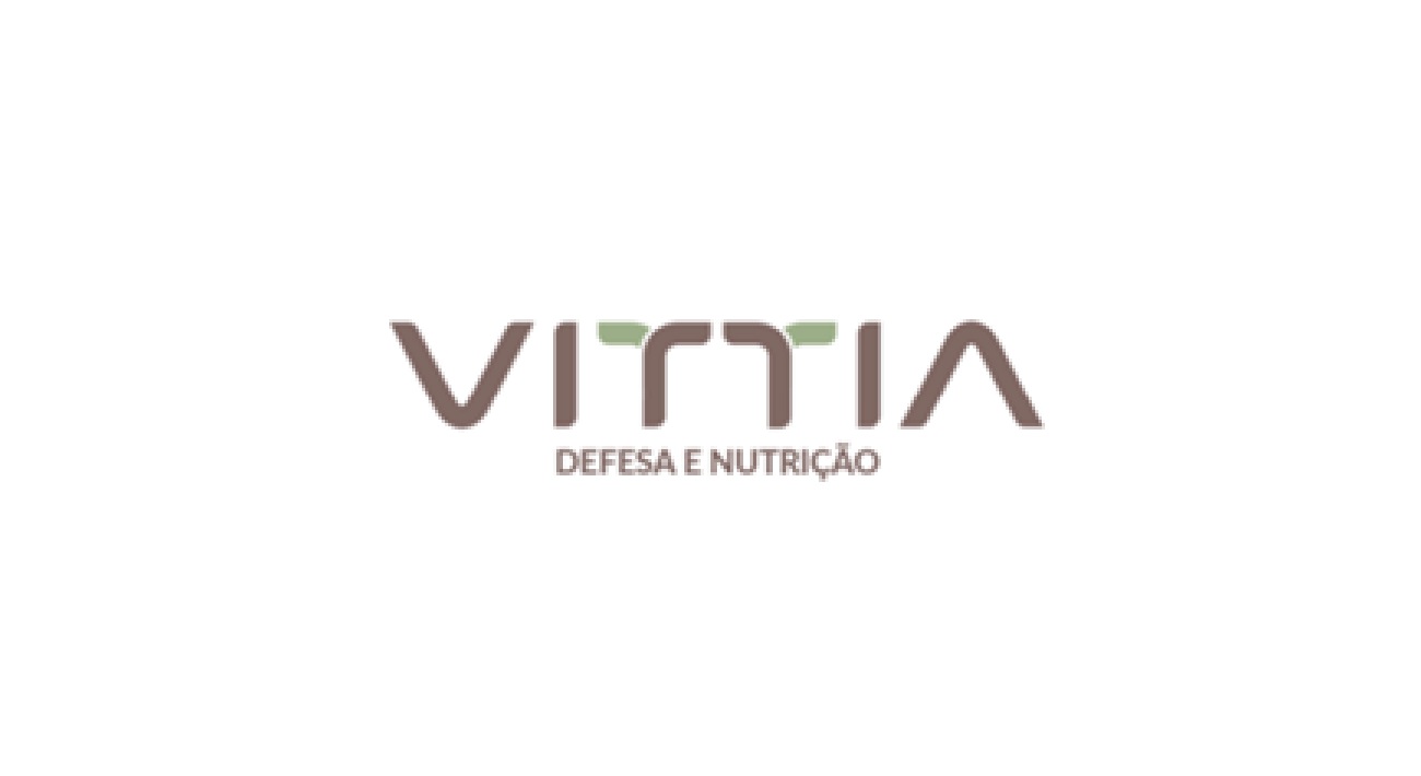 Vittia — DW em Talend Open Studio